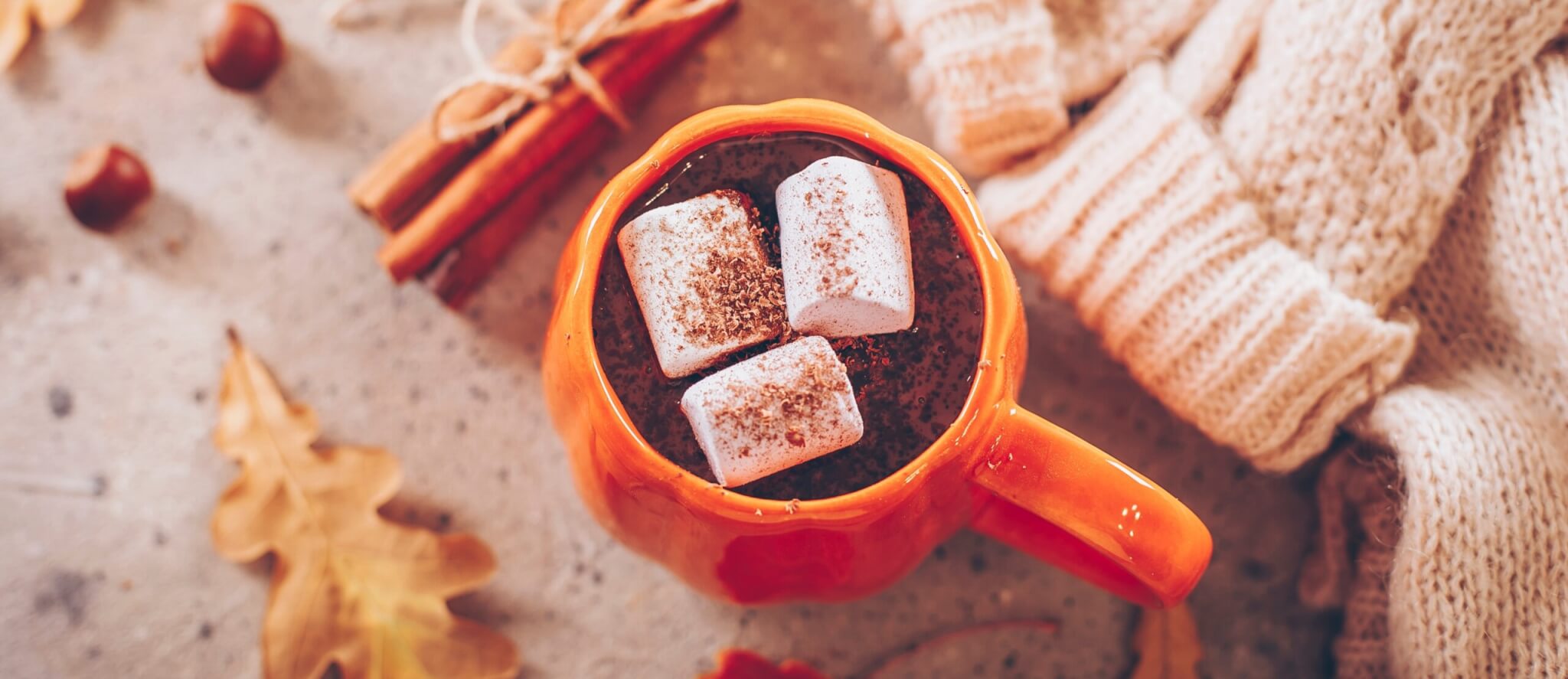 最高のホットチョコレート: 専門家が最も推奨する市販のミックストップ 5