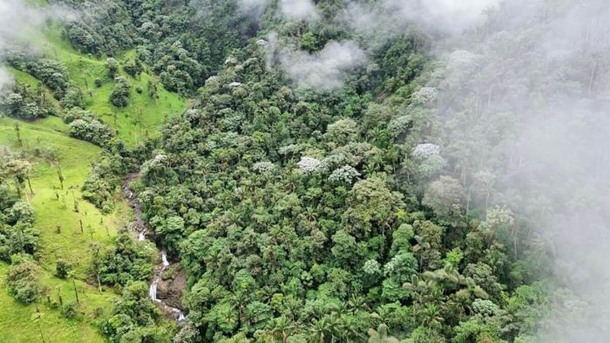 最近の大量絶滅イベントは実際には起こらなかった、衝撃研究が明らかに