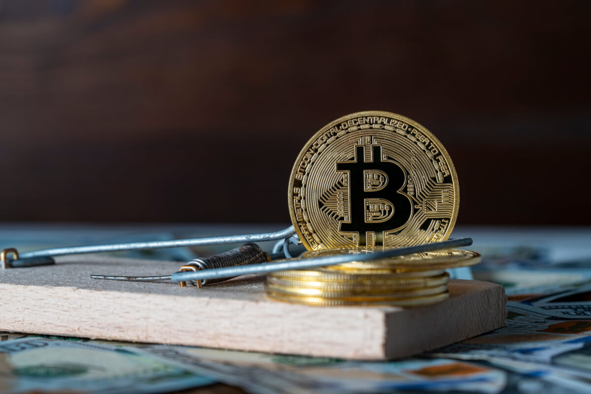 テクノロジーに精通したナイジェリアの若者が主導する「仮想通貨詐欺の憂慮すべき急増」