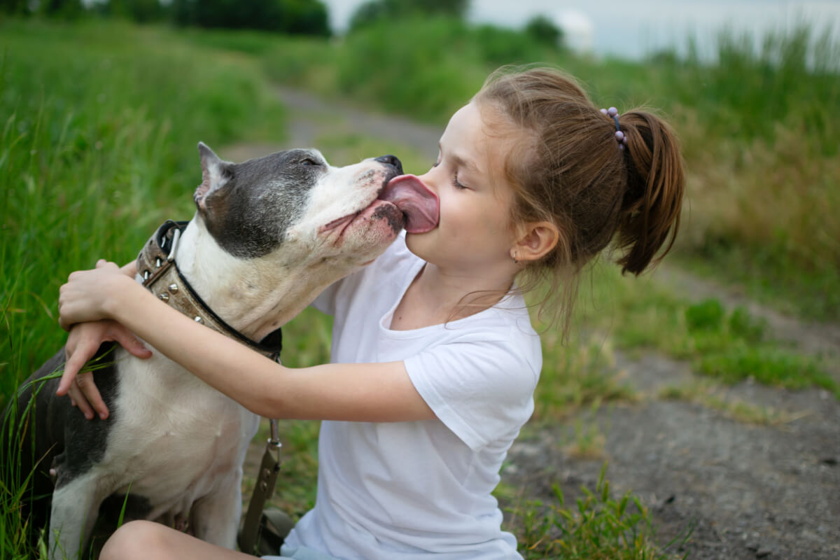 警告: あなたの犬のスムーシュは本当に病気になる可能性があります