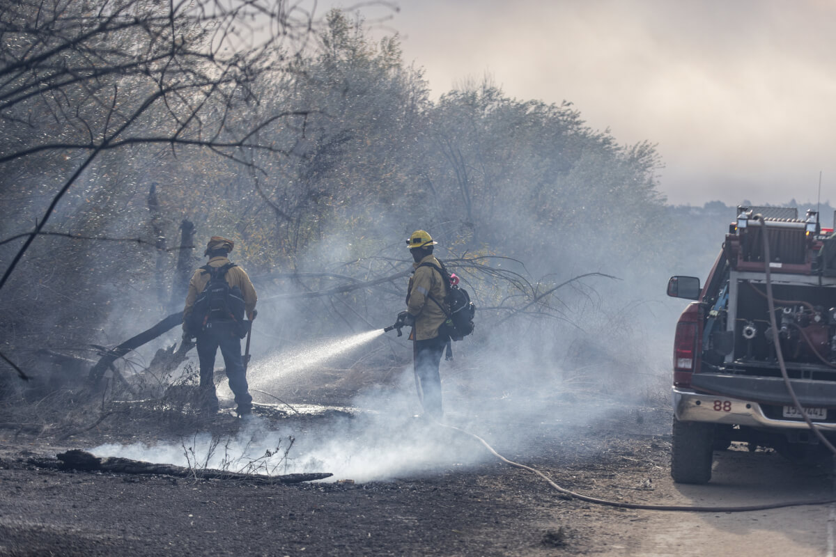 カリフォルニアの山火事：なぜ「水力気候によるむち打ち症」が致命的な火災の原因となるのか