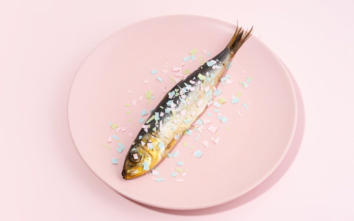 検査された西海岸の魚介類の 99% には人工粒子が含まれていた