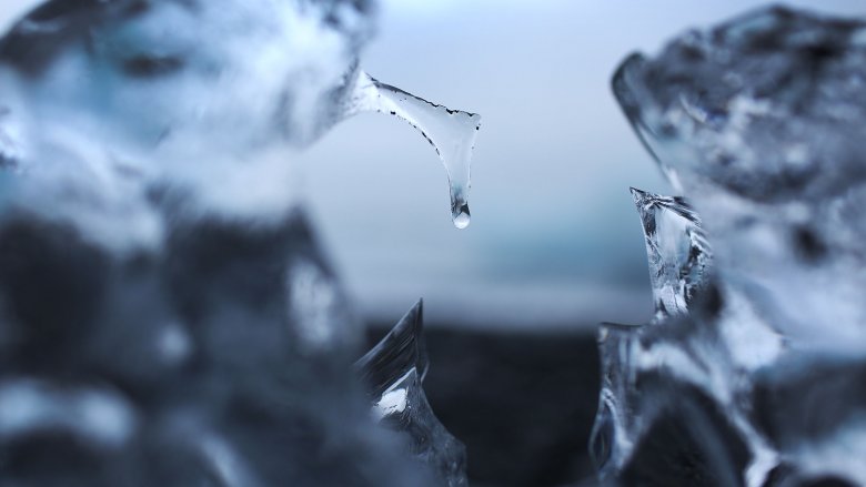氷の中に凍って発見された最も奇妙なもの