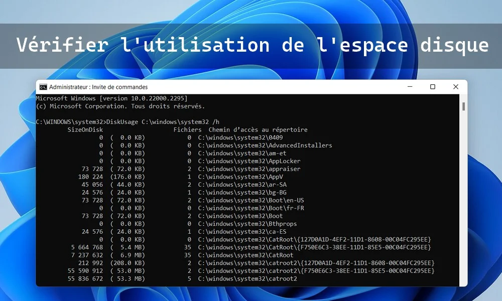 DiskUsage コマンドを使用してディスク容量を確認する方法