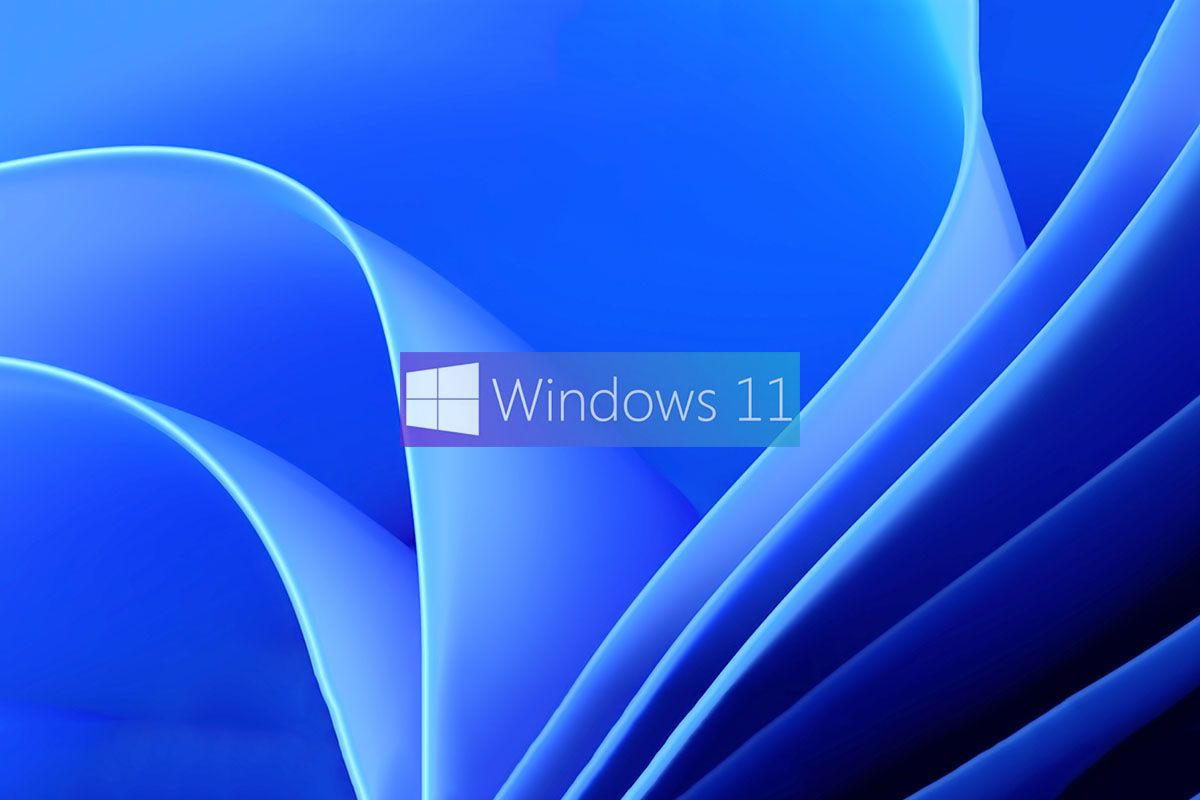 Windows 11の壁紙をダウンロードしてインストールする