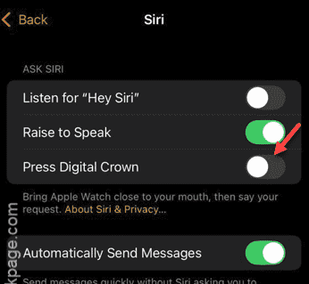 Apple Watchでランダムに聞いているSiri 